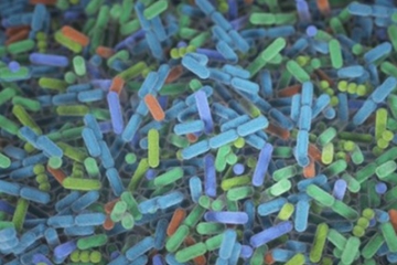 Changes in human microbiome precede Alzheimer’s cognitive declines